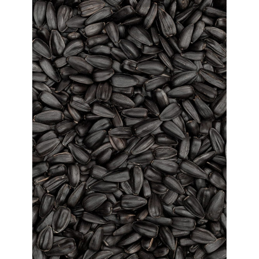 Flourish Nourish Black Seed Oil 150ml