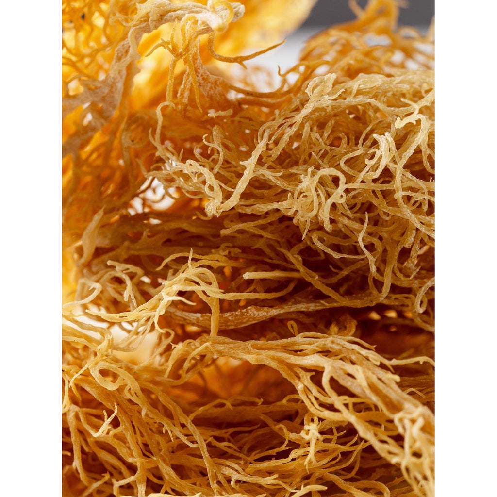 Flourish Nourish Dried Sea Moss 150g