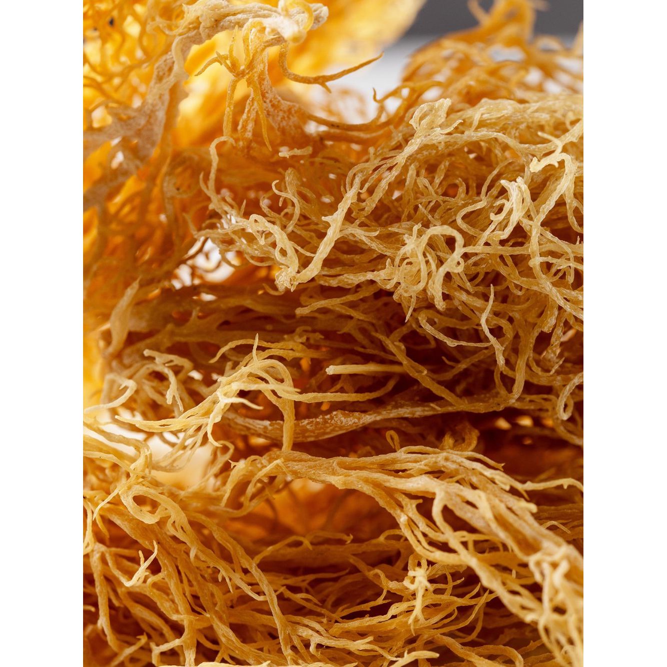 Flourish Nourish Dried Sea Moss 150g