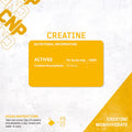 Creatine Powder 500g