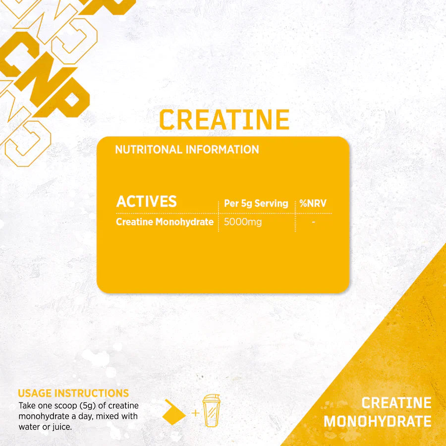 Creatine Powder 500g