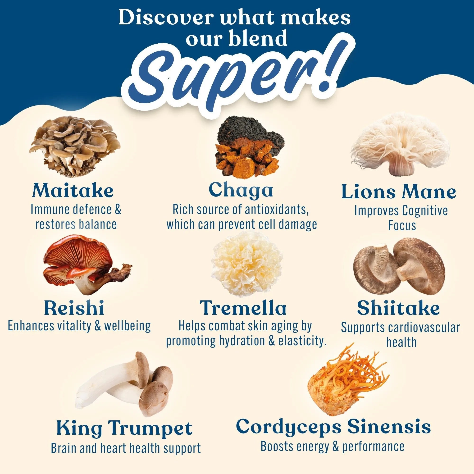 Applied Nutrition Protein + Mushrooms 450g (15 Servings)