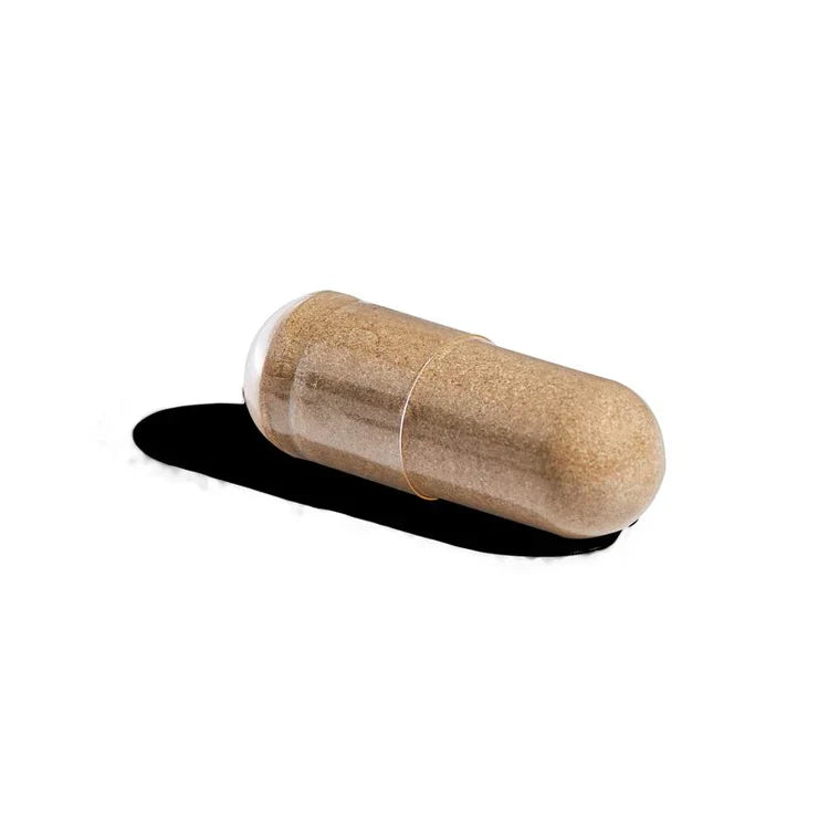 Solgar Milk Thistle Vegetable Capsules